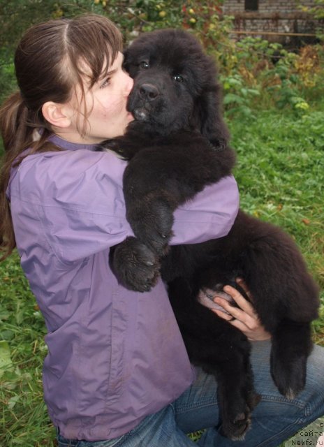 Фото: Дар СвеЗы Юта Дорадо 2, 5 мес и Катя Варваркина