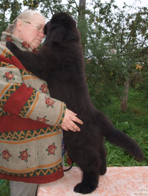 Фото: Дар СвеЗы Юриэль Корона Бореалис 2, 5 мес и Светлана Зырянова