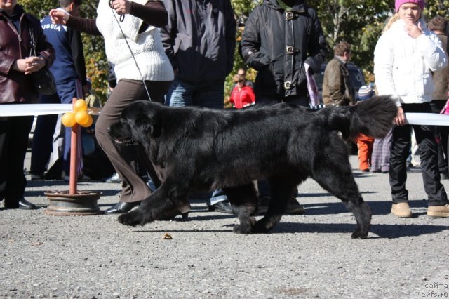 Фотография № 50676