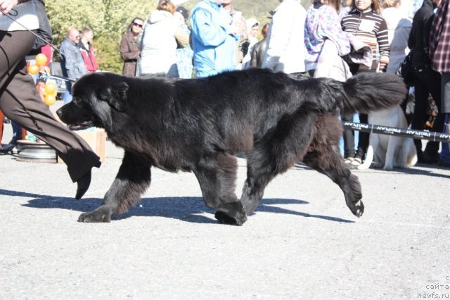 Фотография № 50677