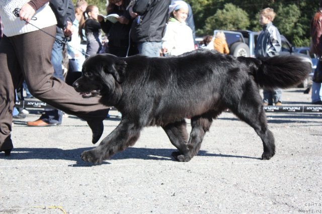 Фотография № 50678