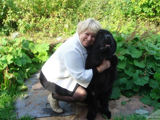 Фотография № 50680