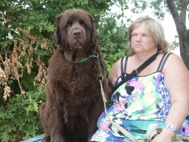 Фотография № 50736