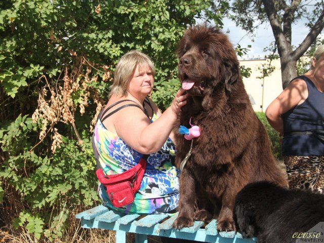 Фотография № 50738