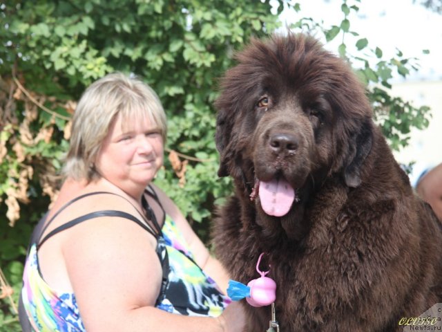 Фотография № 50739