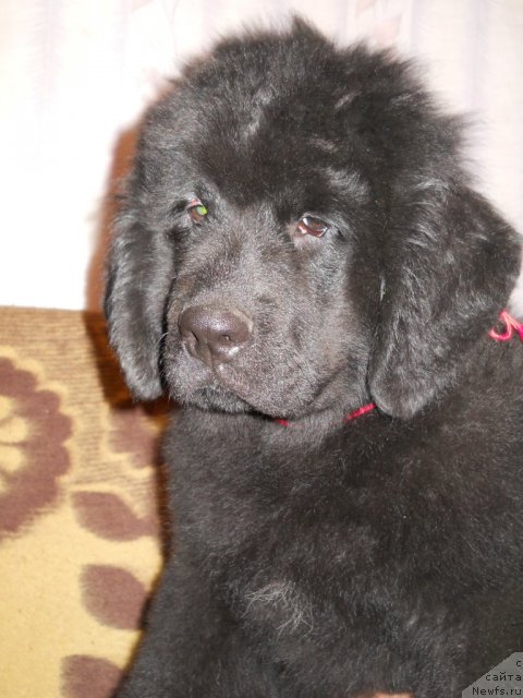 Фотография № 50798