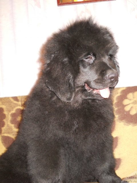 Фотография № 50799