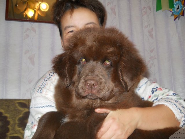 Фотография № 50800