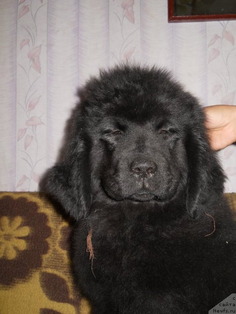 Фотография № 50804