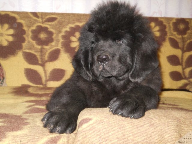 Фотография № 50805