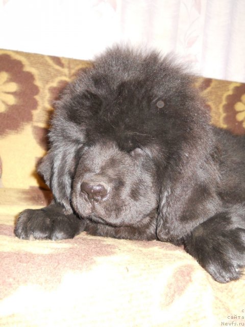 Фотография № 50806