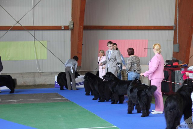 Фотография № 50833