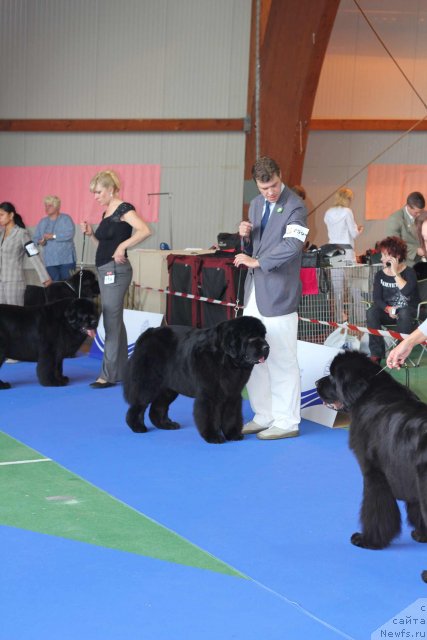 Фотография № 50836