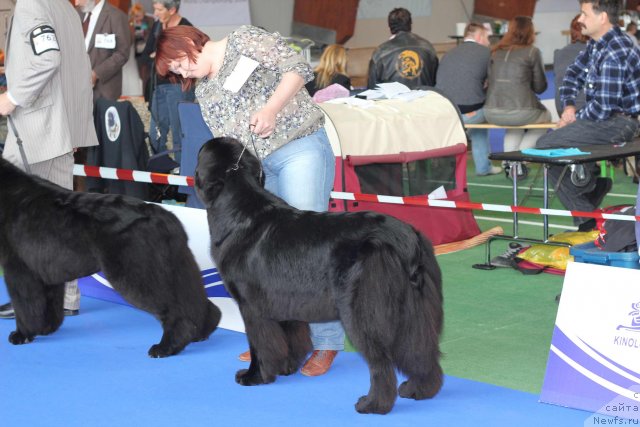 Фотография № 50838