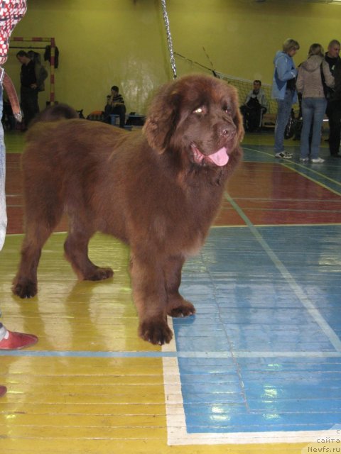 Фотография № 50877