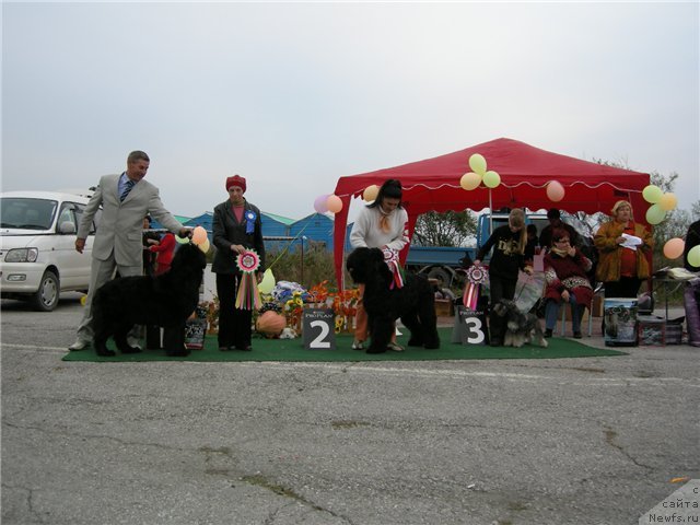 Фотография № 50981