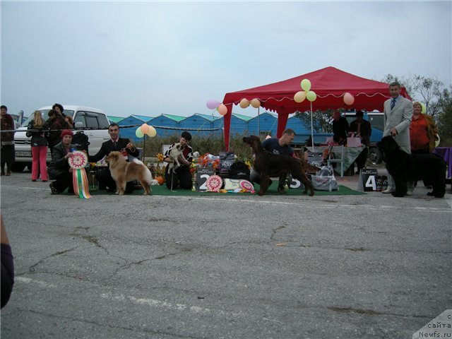 Фотография № 50983