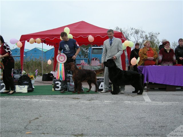 Фотография № 50984