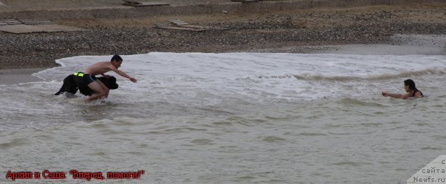 Фото: ньюфаундленд Akvatoriya Kelvin Kuindji (Акватория Келвин Куинджи)