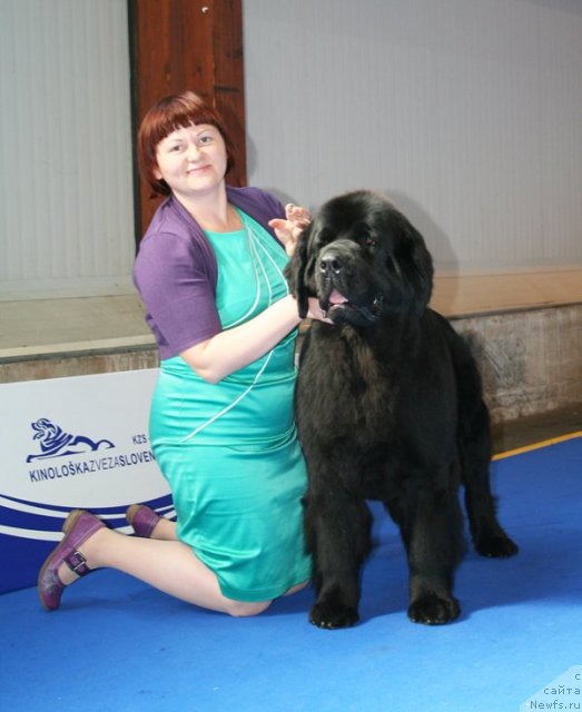 Фотография № 51132