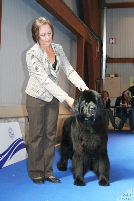 Фотография № 51134