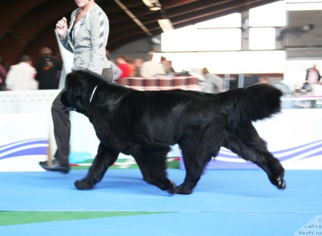 Фотография № 51137