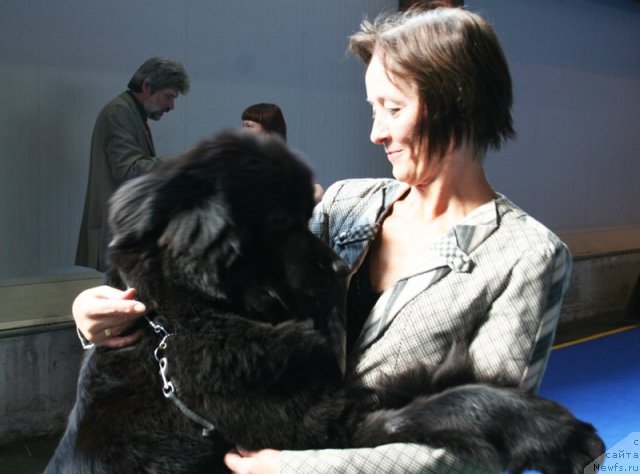 Фотография № 51140