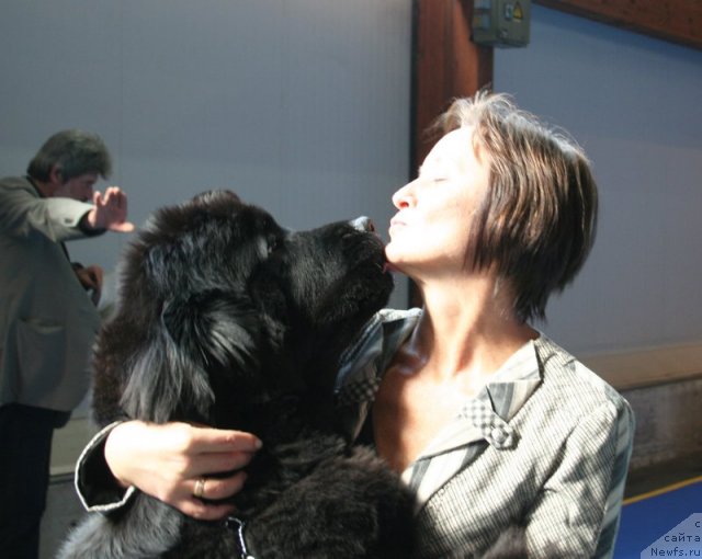 Фото: ньюфаундленд Beguschaya po Volnam Vsya Takaya Rastakaya (Бегущая по Волнам Вся Такая Растакая), Ol'ga Koroleva (Ольга Королева)