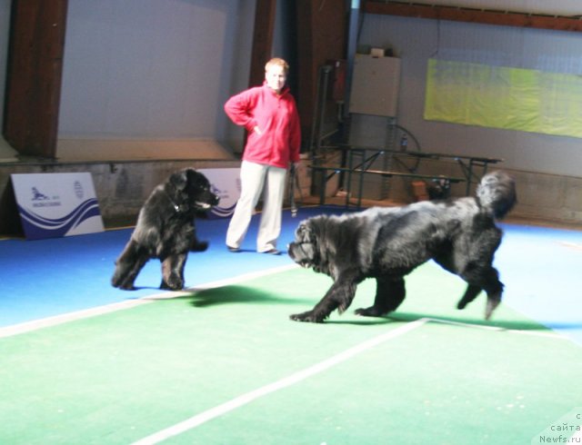 Фотография № 51143