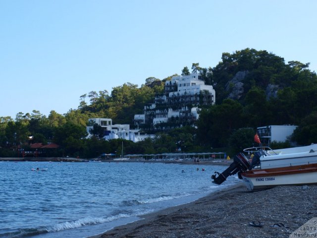 Фото: ньюфаундленд YU-Piter from Piter (Ю-Питер фром Питер)