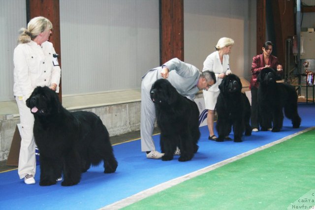 Фотография № 51225