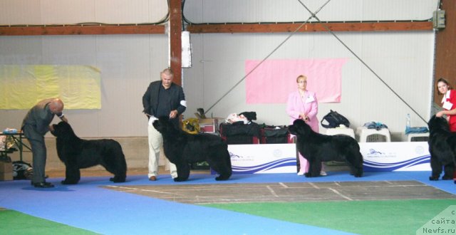 Фотография № 51226