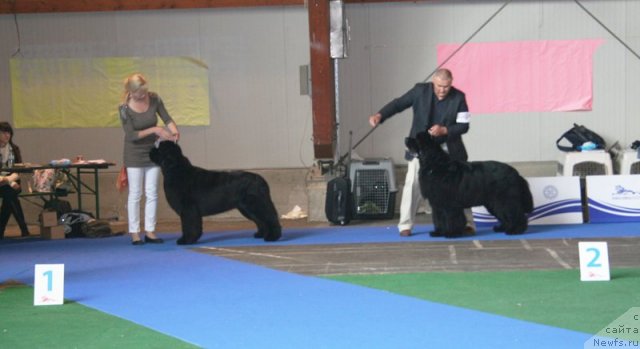 Фотография № 51228