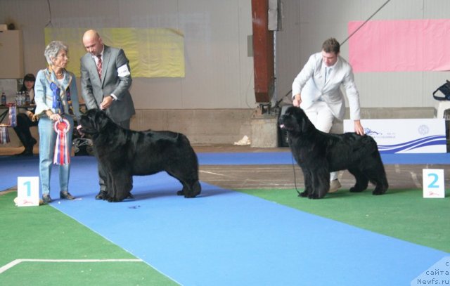 Фотография № 51229