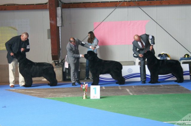 Фотография № 51230