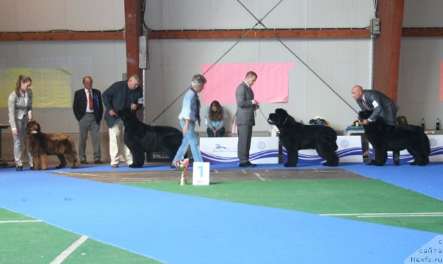 Фотография № 51234