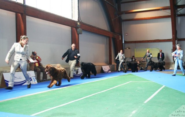 Фотография № 51235