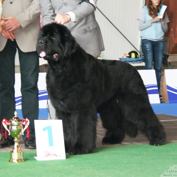 Фотография № 51237