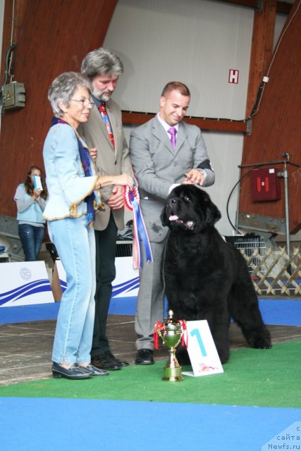 Фотография № 51238