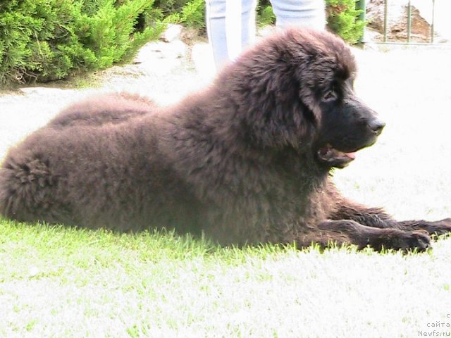 Фотография № 51293