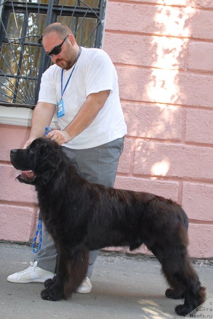 Фотография № 51311