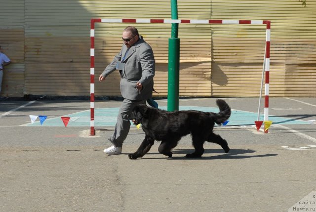 Фотография № 51313