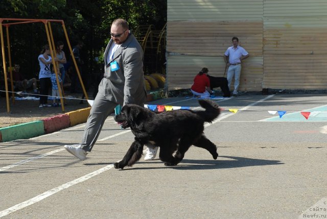 Фотография № 51314