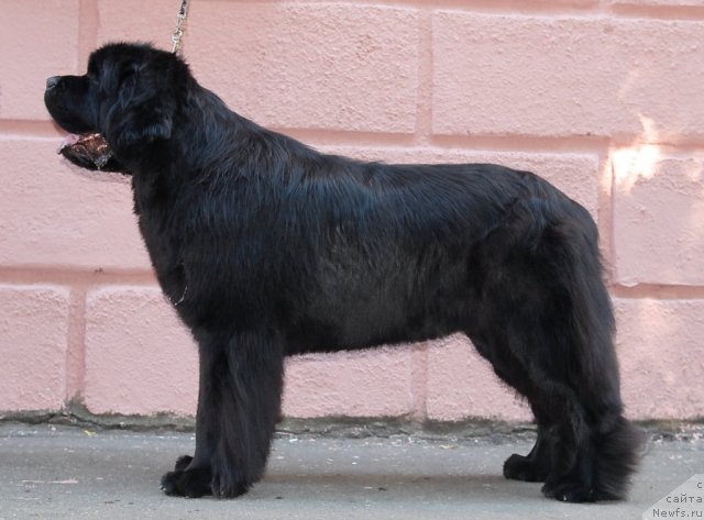 Фотография № 51315