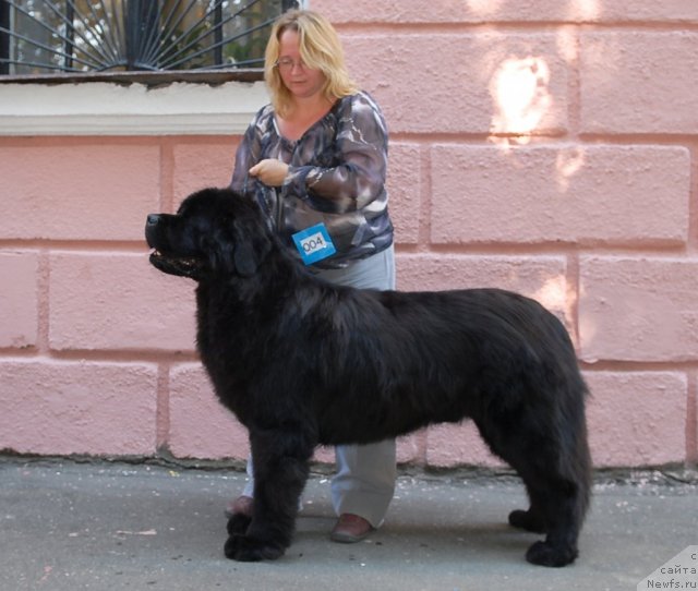 Фотография № 51334