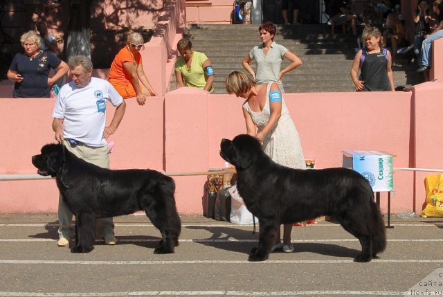 Фотография № 51338