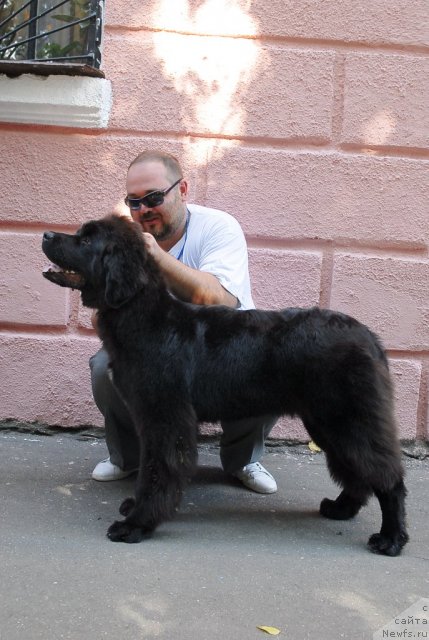 Фотография № 51341