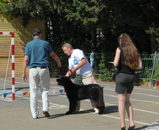 Фотография № 51342