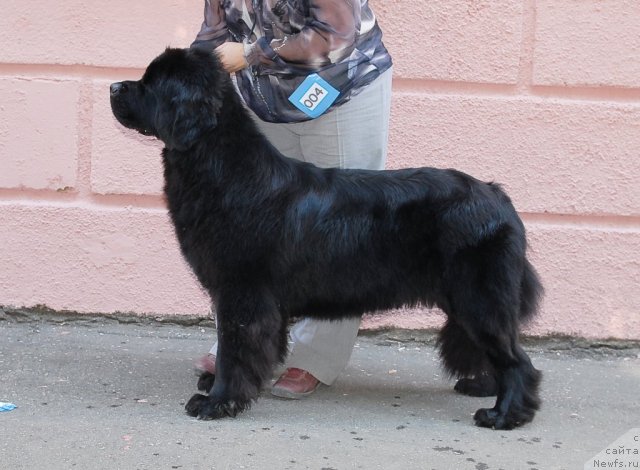 Фотография № 51347