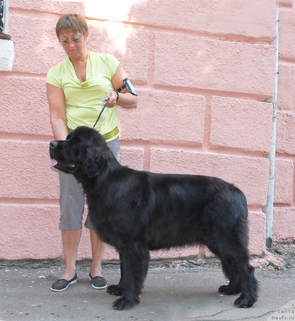 Фотография № 51348